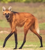 1783690605066.png