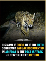 1783951433682.png