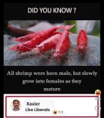 1783961770723.png