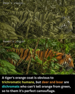 1783962136500.png