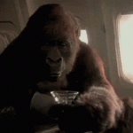 1783975157530.gif