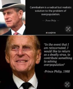 1784030120730.png