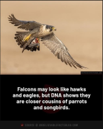 1784116464609.png