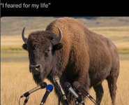 1784121003081.png