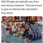 1784121820020.png