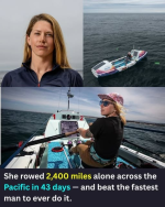 1784122173855.png