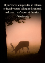 1784126443267.png
