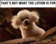 1784230796508.png