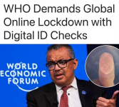 1784301774884.png