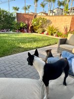 IMG_1435.jpeg