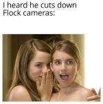 1784634439059.png 1784634439059.png