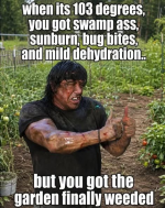 1784634784724.png