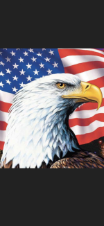 d1d1a6e5-e416-480c-8497-193566aba3b8-1_all_2968.png