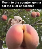 1784658797522.png