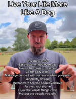 1784902596205.png