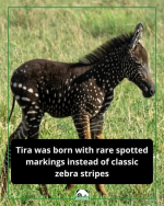 1784910678751.png