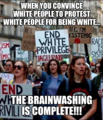1784923568185.png
