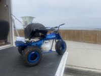 IMG_2565.jpeg