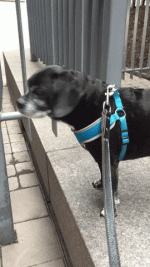 1785079801011.gif