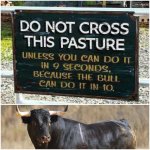 funny-pasture.jpg