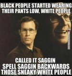 saggiN.jpg