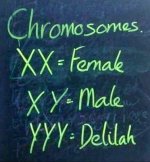 Chromosomes.jpg