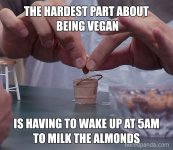 vegan-memes-24-5bc97a7e45549__700.jpg