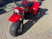 IMG_6396.jpeg IMG_6396.jpeg