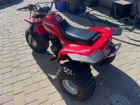 IMG_6397.jpeg IMG_6397.jpeg