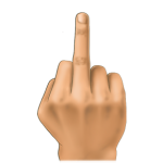 middle-finger-icon-for-iphone-29.jpg.png