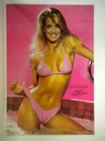 heather-thomas-bikini-swimsuit-poster_1_d6640ebe4ce7fc707c46af9edd9413a6.jpg