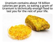 309246658_4911013915666130_9205819801626997720_n.jpg