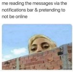 310471333_5873202582704525_101742672292462804_n.jpg