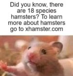 310858822_8115115635197337_2147804084152494674_n.jpg