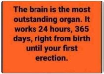 311637233_190400943515219_1544430140206411540_n.jpg