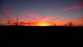 12-28-10 Glamis trip 134.jpg