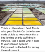 b5deb01cc22ac011.png