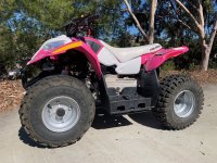 Pink Quad 1.jpg