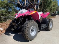 Pink Quad 2.jpg