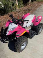 Pink Quad 4.jpg