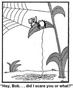 farside_spiderscare.jpg