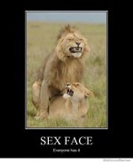 sex_face_everyone_has_it_66635db563bd7656a80b47e76c497abc431fb77f.jpg