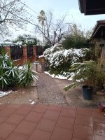 Snow 03 3-2-2023.jpg