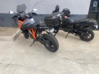 IMG_6265.jpeg IMG_6265.jpeg