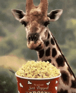 giraffe.gif