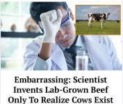 cow.png