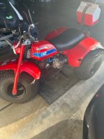 IMG_8205.jpeg IMG_8205.jpeg