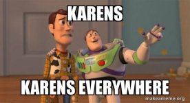 karens-karens-everywhere-4296efb585.jpg