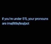 381336324_2298866787170685_7412687981521574479_n.jpg