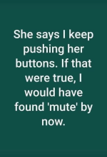 Mute Button.jpg.png